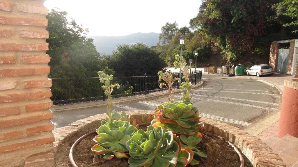 Pensión Mirador De Jubrique