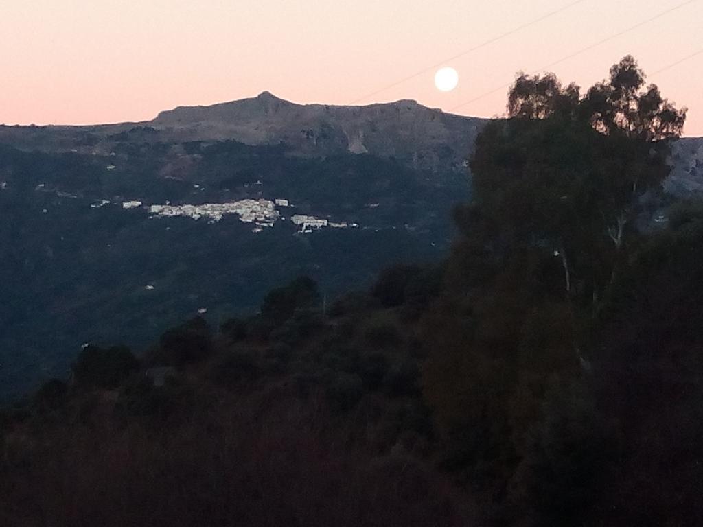 Mirador De Pensión 2*