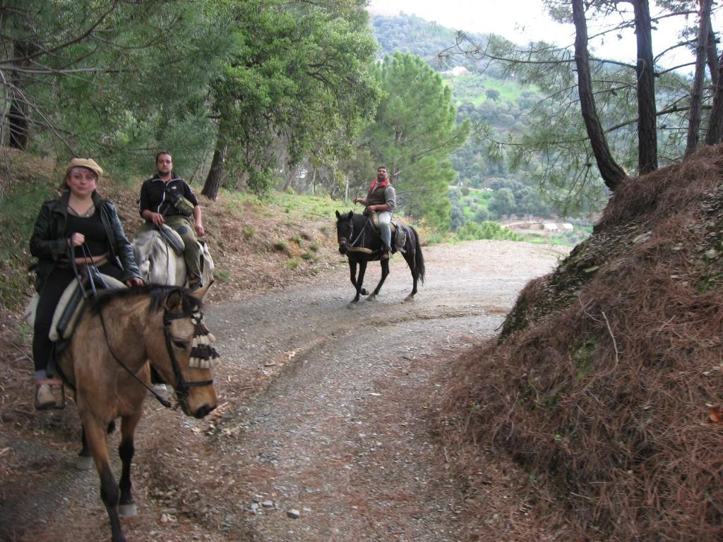 Pensión Mirador De Jubrique